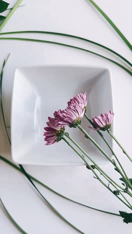 purple daisies in white bowl