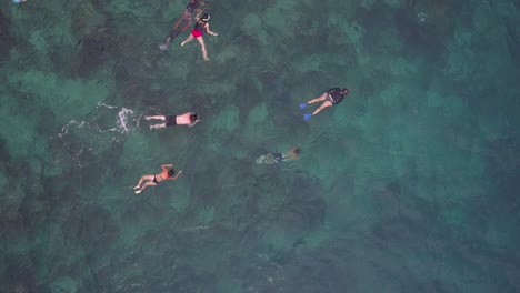 people snorkeling in clear tropical water