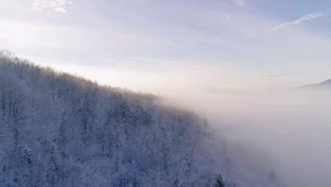 Aerial-view-of-forest-covered-in-snow-and-a-big-cloud-of-fog-during-day
