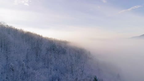 aerial view of forest covered in snow and a big cloud of fog during day