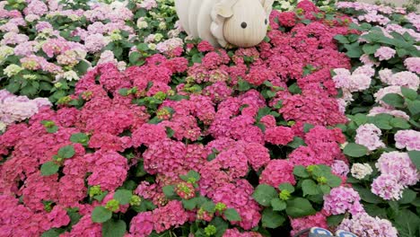 Decoración-Navideña-De-Hortensias-En-Cúpula-De-Flores,-Jardines-Junto-A-La-Bahía,-Singapur