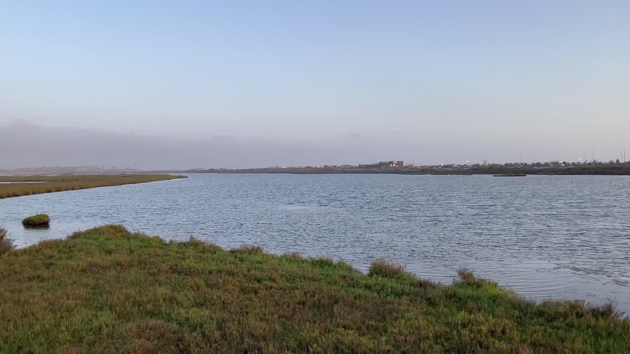 paisaje de agua y plantas, giro a la izquierda 180 grados sobre estuario o lago