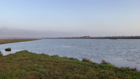 landscape-of-water-and-plants,-pan-left-180-degrees-over-estuary-or-lake