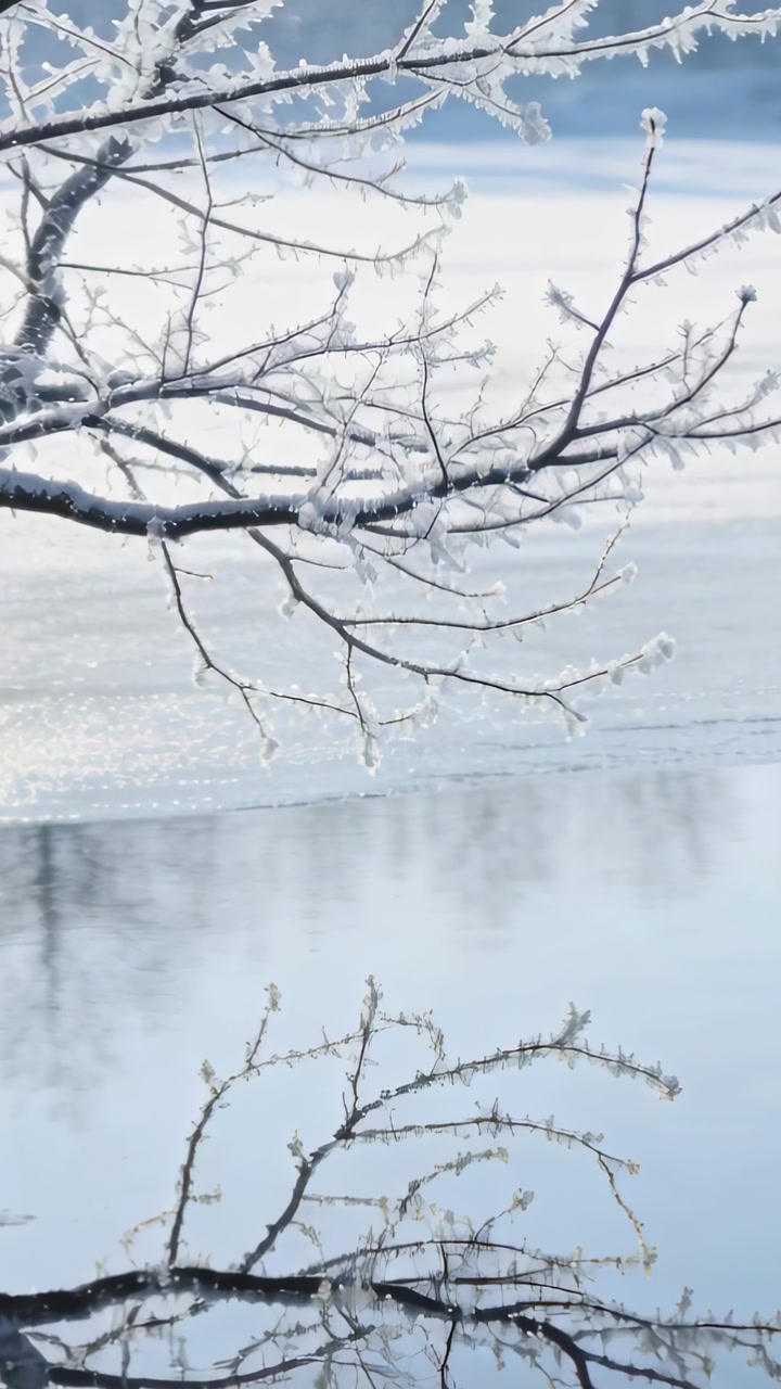Vertical video: Frosted branch flexing, water shimmering from breeze, showing clear reflection