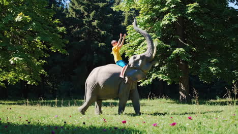 child riding an elephant in a park