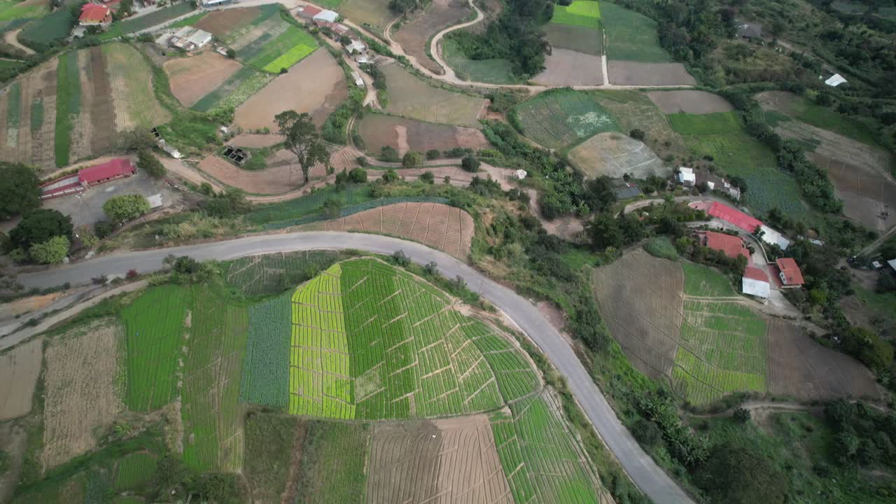 Green fields and farmhouses in junquito, venezuela, near a winding road, aerial view
