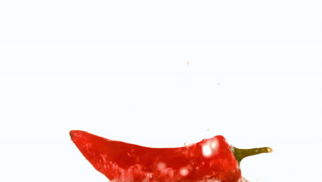 water falling on a chili