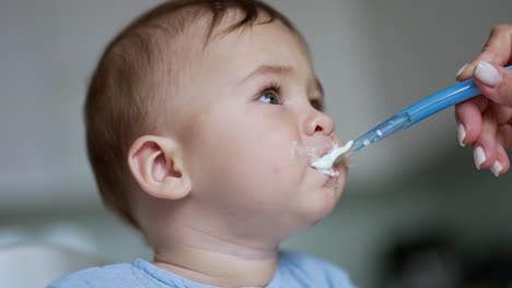 sweet grey-eyed baby eating dairy. mother puts a spoon into baby's mouth and kid holds the spoon. close up.