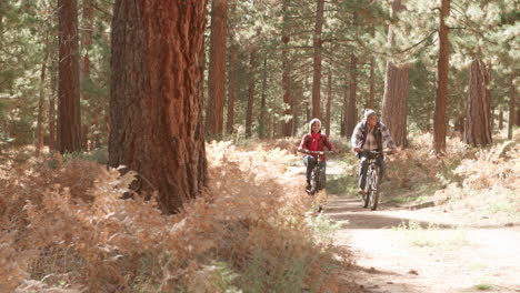 una pareja negra mayor en bicicleta hacia la cámara en un sendero forestal
