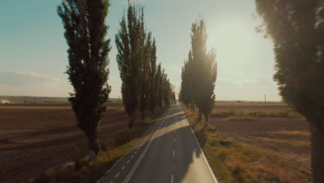 Aerial-view-of-a-transportation-van-driving-on-a-paved-road-between-green-tall-trees,-in-the-sunlight