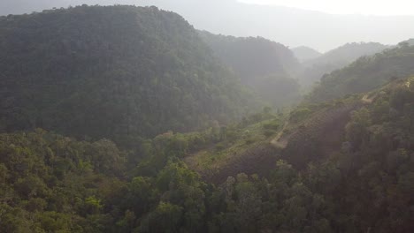 Kaffeeplantage-Im-Bolivianischen-Bergdschungel