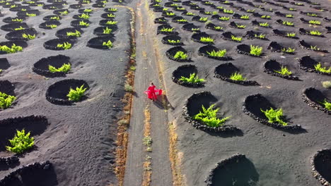 Mujer-Vestida-De-Rojo-En-Una-Carretera-En-Una-Plantación-De-Viñedos-En-Lanzarote-Con-Muchas-Protecciones-Circulares-De-Piedra-Volcánica-En-El-Suelo