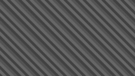 black and white pattern on a minimal background.