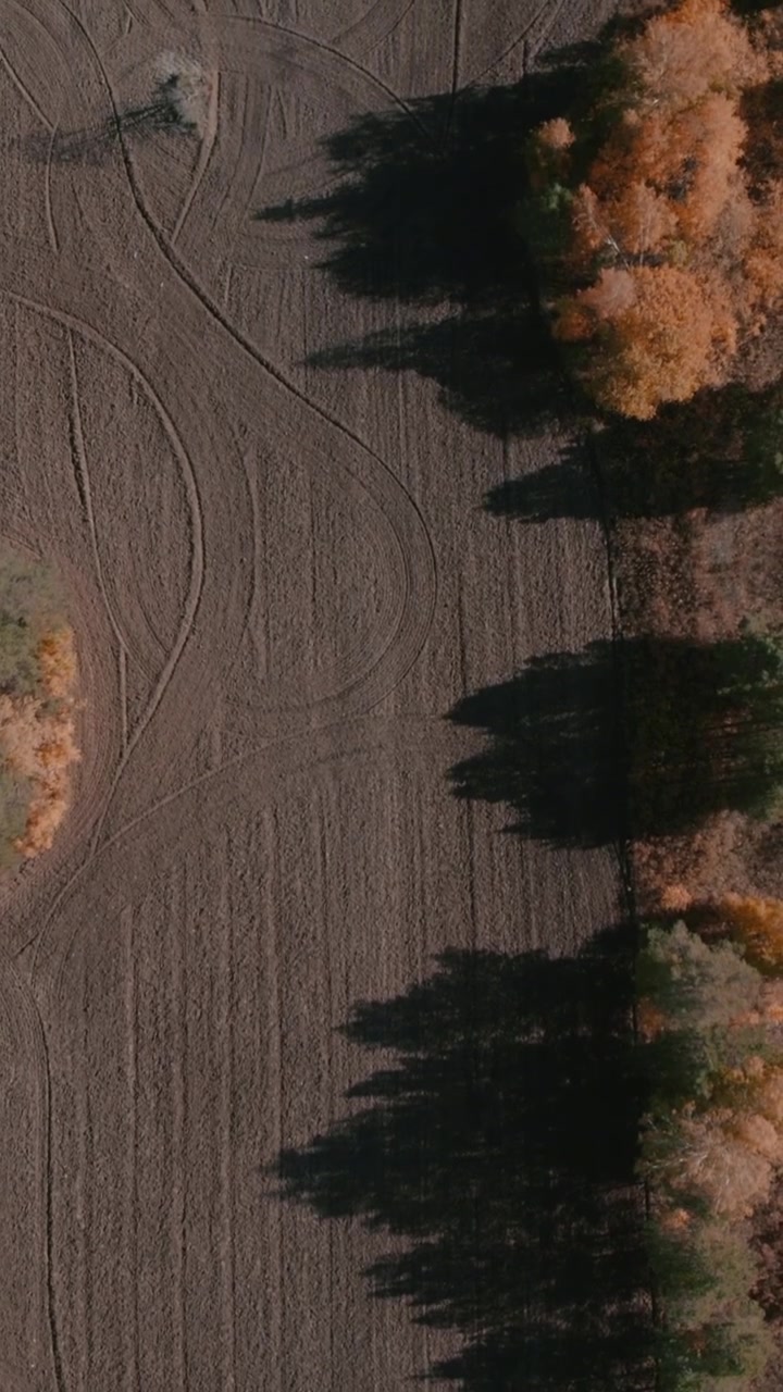 Filmato aereo dall'alto di un campo agricolo arato delimitato da alberi, con lunghe ombre scure sul terreno strutturato e colori autunnali, sfondo di paesaggio rurale.