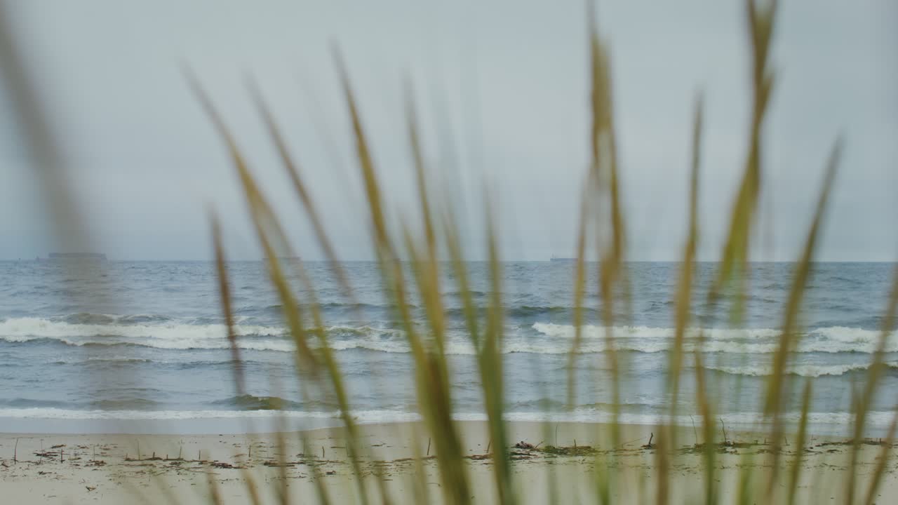 Beach and Sea View with Grass in Foreground