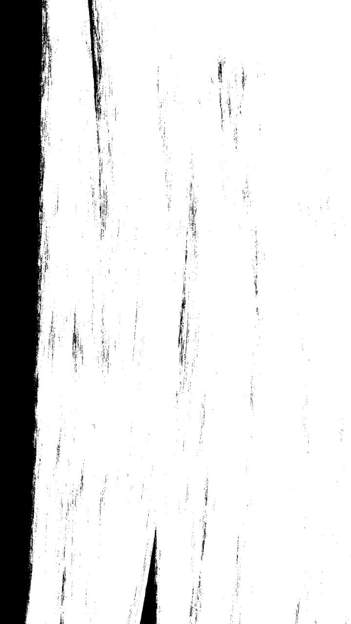 Transizione astratta a spazzata con pennellata in bianco e nero