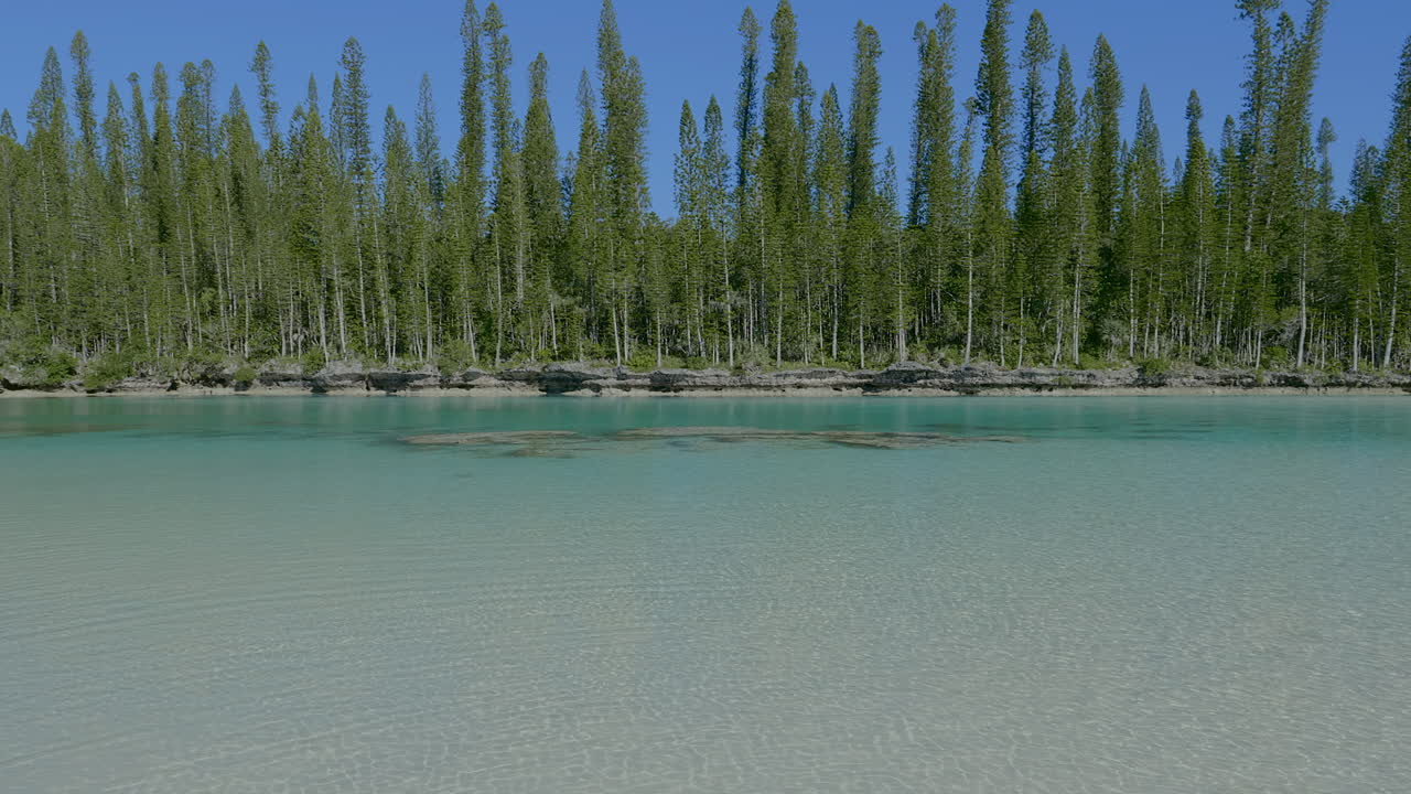 자연 수영장, 오로, 소나무 섬을 따라 기둥 모양의 소나무를 드러내는 공중 상승