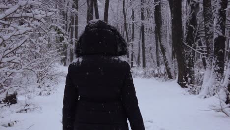 warm dressed female walking through snowy woodland forest, niebieskie, poland, rear view