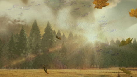 autumn leaves falling in forest with soft sunlight creating animation effect
