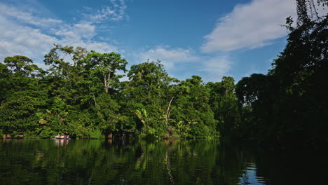 navigating through the canals of tortuguero national park in costa rica. panoramic view of the green lush vegetation and the rainforest. natural reserve for wildlife and biodiversity.