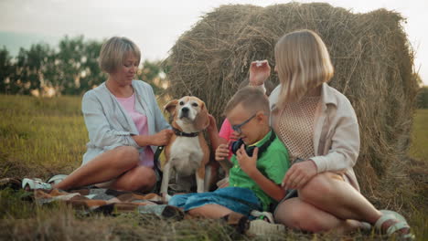 business partners sit with children on grassy field, petting dog near hay bale, enjoying warm evening light, bonding in countryside, relaxing together