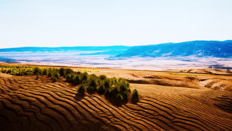 beautiful yellow orange sand dune in desert in middle asia