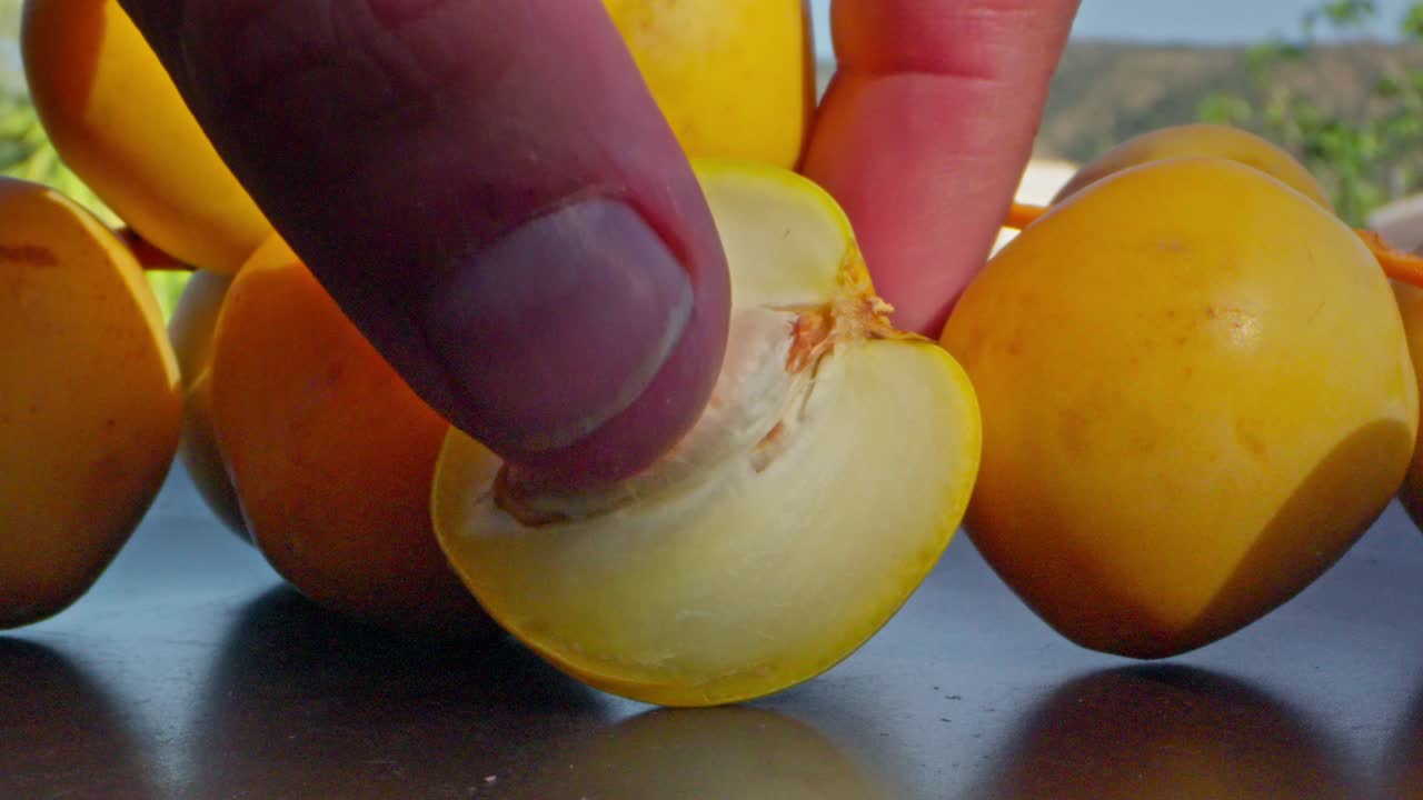 탐사기 매크로 렌즈로 보는 접시에서 바리 날짜를 선택합니다.