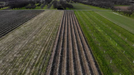 Aufschlussreiche-Aufnahme-Von-Ackerland,-Ortenau,-Deutschland