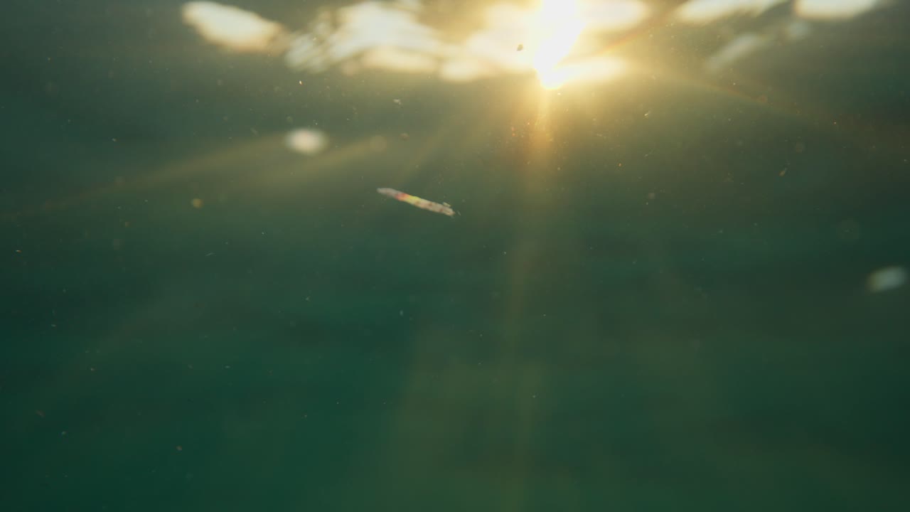 Underwater view in Corsica as golden sunset rays pierce the turquoise sea, creating a dreamlike dance of light and color beneath the calm Mediterranean surface