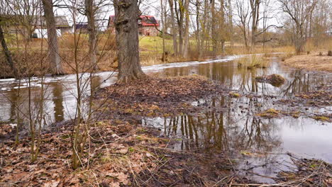 Flooded-area-near-river-in-spring,-dolly-in