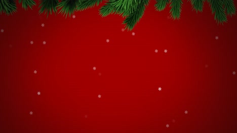 Animation-of-snowflakes-falling-and-fir-tree-branches-on-red-background