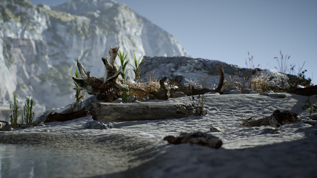 바다 의 바위 절벽 근처 에 있는  ⁇  모래 해변