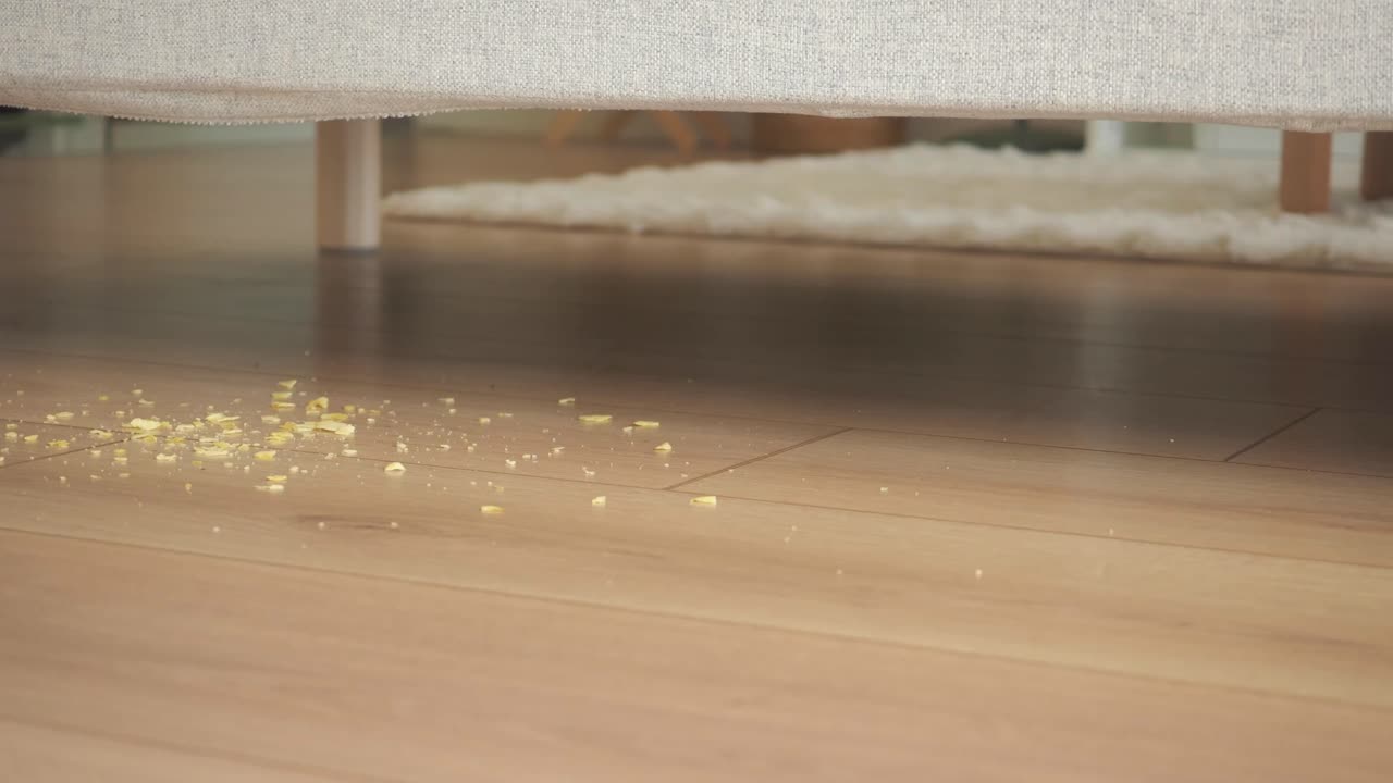 Crumbs on the floor