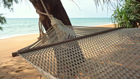 hammock on tropical beach, warm breeze in holiday scene