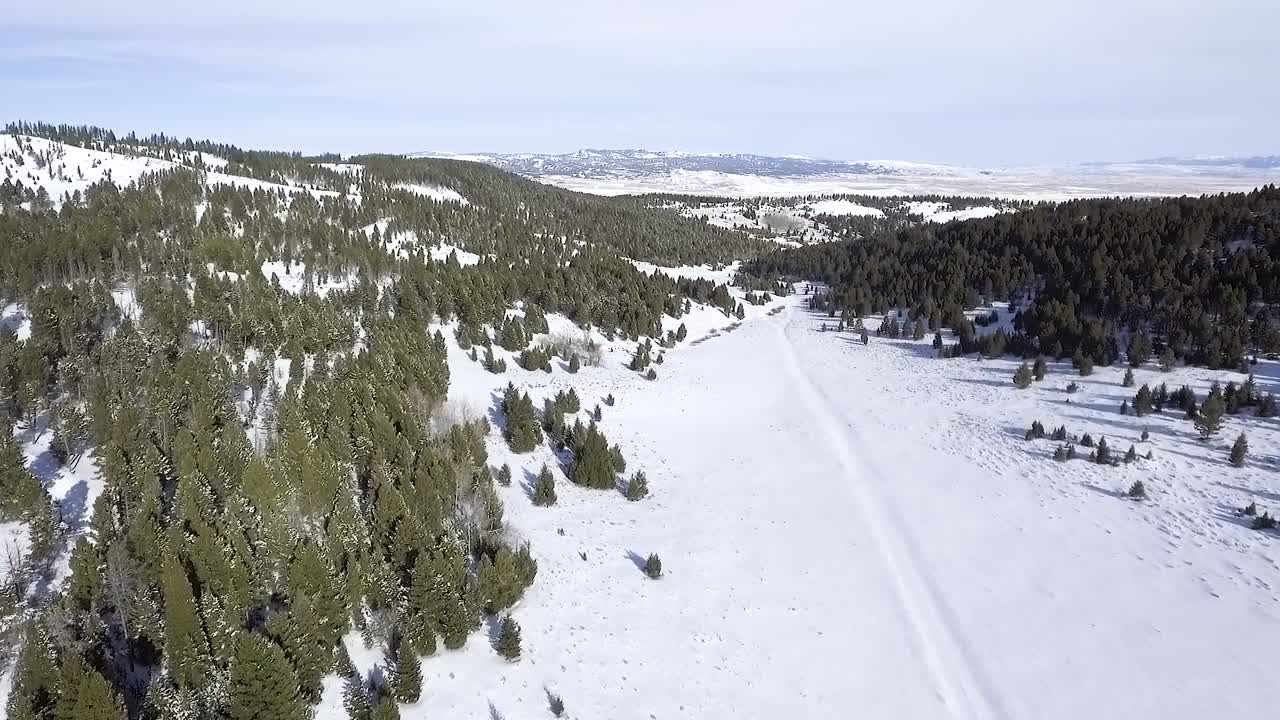 Gli alberi circondano la valle innevata