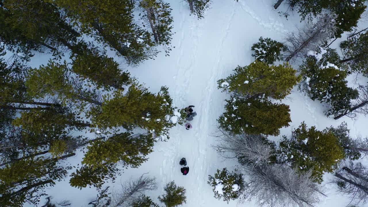 vista aérea de un grupo de personas caminando a través de los árboles en una montaña nevada