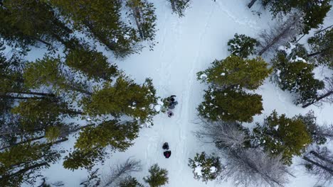 aerial tracking birds eye view shot of a group of people walking through trees on a snowy mountain