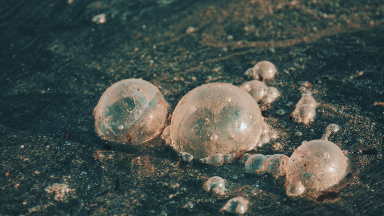 Close up shot of contaminated seawater with clusters of foam and oily bubbles drifting across the surface