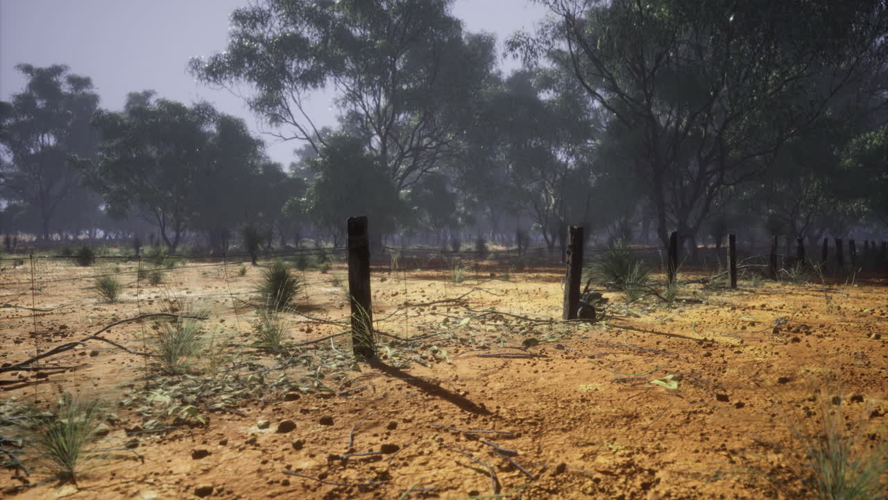 Dusty landscape with scattered trees and rustic wooden fence under a hazy sky
