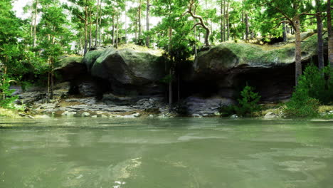 scenic view of a serene river surrounded by lush forest greenery