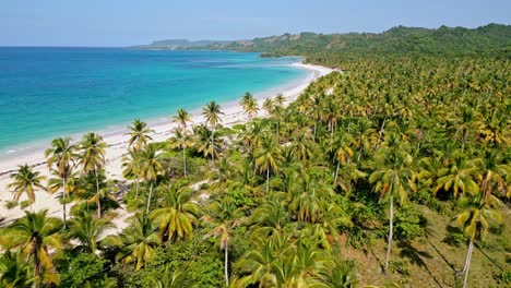 tomada panorámica de un avión no tripulado de un paisaje tropical con palmeras, playa dorada y luz azul del mar del caribe por el sol - república dominicana, playa rincon