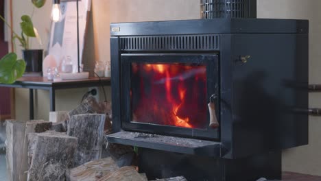 fuego rugido dentro de la chimenea de la sala de estar, más leña en el frente