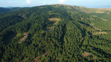 Vasto-Bosque-Cubierto-De-Pinos,-Un-Paraíso-Para-La-Naturaleza-Salvaje,-Que-Captura-La-Majestuosa-Belleza-De-La-Naturaleza,-Un-Paraíso-Montañoso-En-Albania