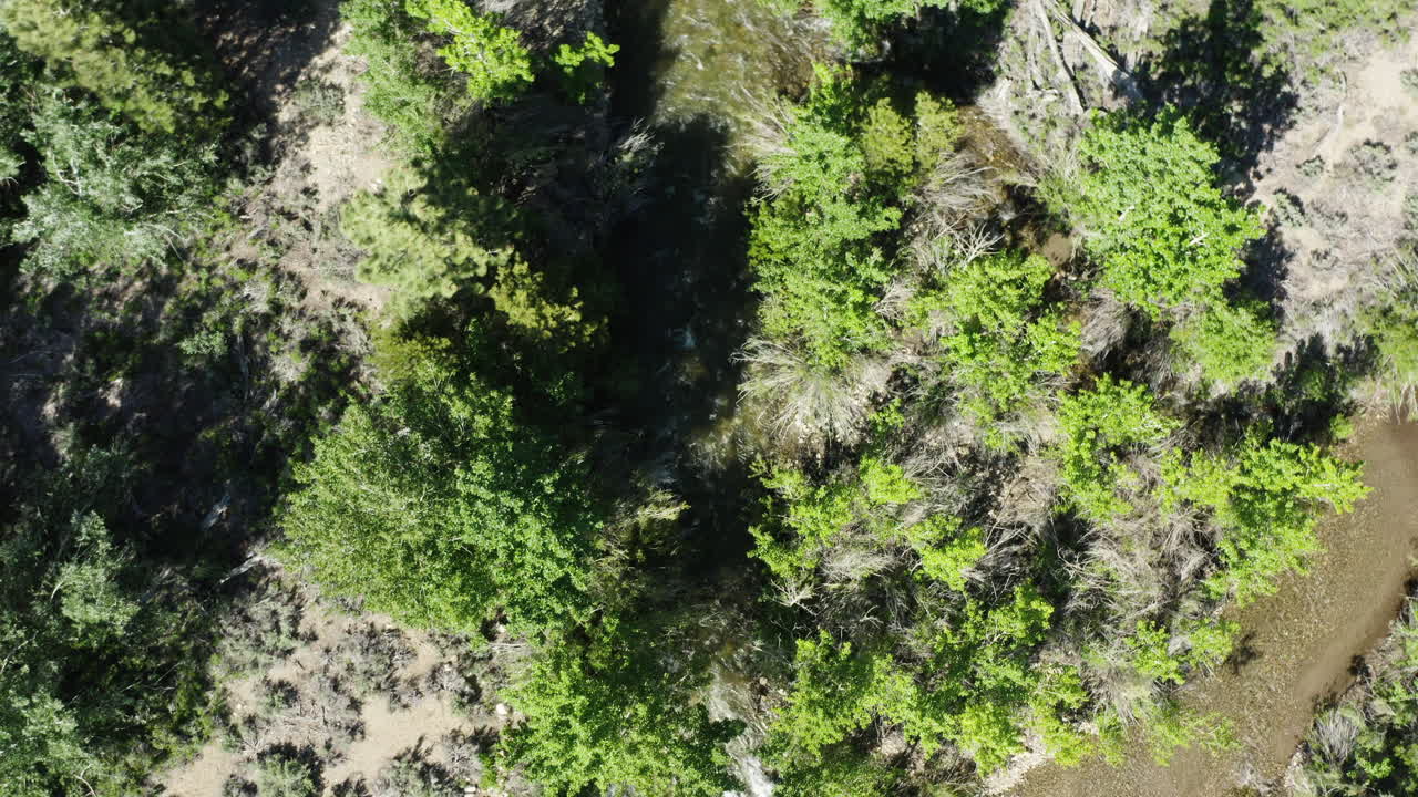 vista a vista de pájaros del lago mono, corrientes fluviales durante la temporada de verano en california, estados unidos