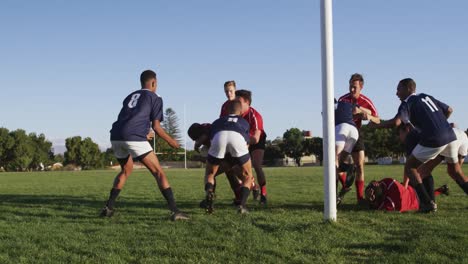 jugadores de rugby que juegan en el campo