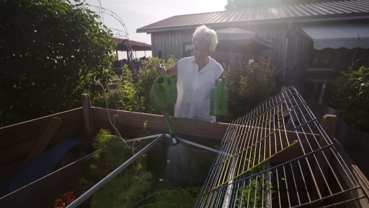 en la escena pacífica como una mujer mayor se ocupa de su jardín de verduras, graciosamente regando plantas con una lata