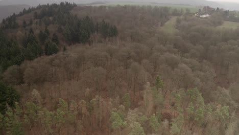 aerial view of a winter forest landscape