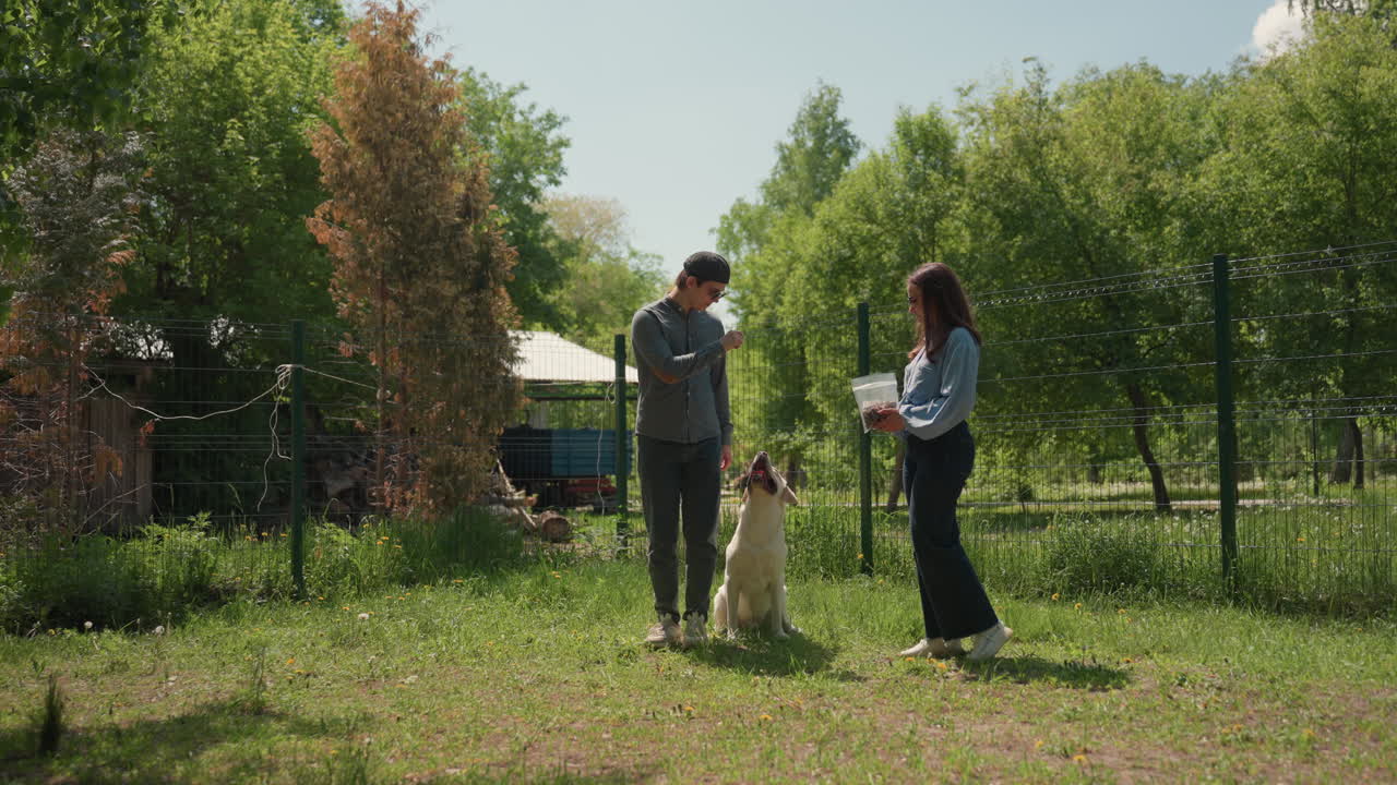 뒷마당에서 래브라도를 데리고 있는 커플이 두 견주 사이에서 친근한 인사를 나누고, 잔디가 있는 정원 울타리 근처에서 차분한 강아지가 햇볕이 잘 드는 오후에 목줄을 넘겨받고, 장난스럽게 킁킁거리고 편안한 주말 분위기를 내고 있어요.