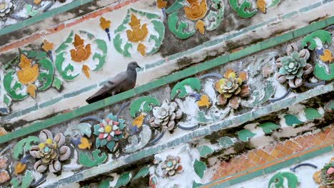 pigeon perched on ornate temple tiles