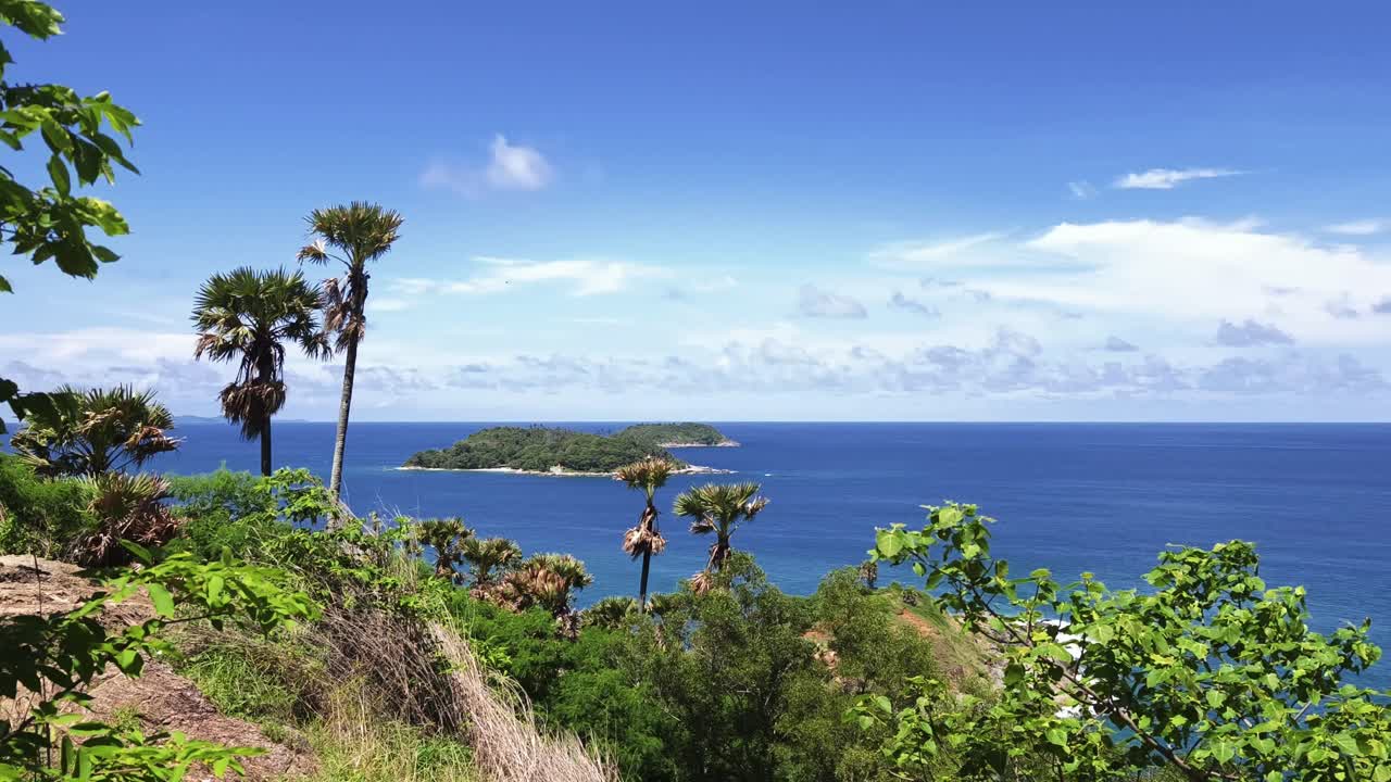 Coastal Scenery with Islands and Palms